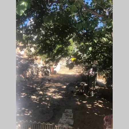 Bodrum Tuerkiye בודרום